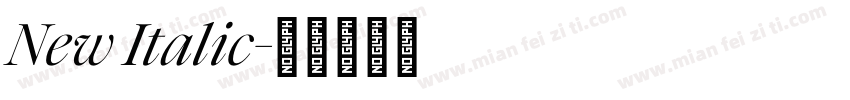 New Italic字体转换